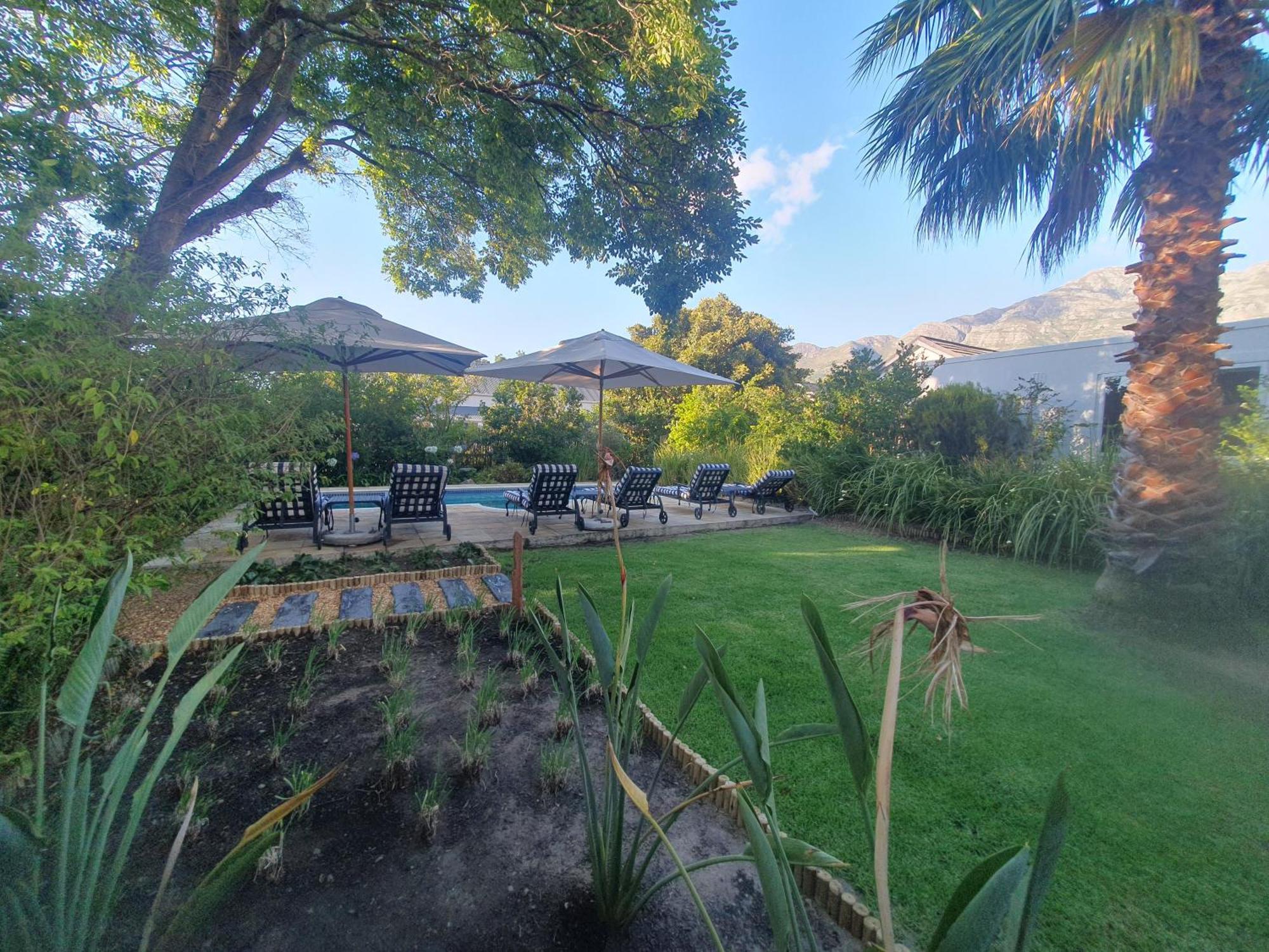 Bed and Breakfast Petit Ermitage Franschhoek Exteriér fotografie